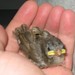 Larry Sparrow Photo 16