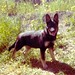 Tammy Shepherd Photo 37