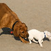 Charlie Huynh Photo 8