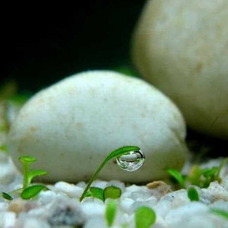 Phu Dinh Photo 36