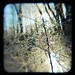 Sharon Mills Photo 12