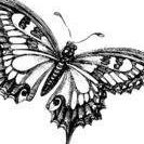 Judith Hernandez Photo 24