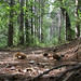 Jeff Eagan Photo 12