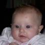 William Nowicki Photo 22