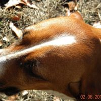 Grace Mills Photo 8