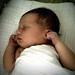 Anne Bissonnette Photo 10