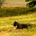 Jeanette Hunt Photo 29