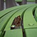 Richard Slavin Photo 20