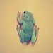Katherine Green Photo 21