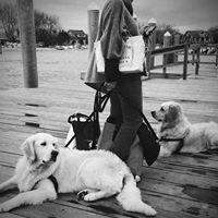 Janice Woodward Photo 16