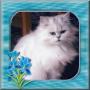 Marlene Chapman Photo 25