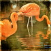 Jerry Rosier Photo 9