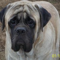 Myrtle Magee Photo 4