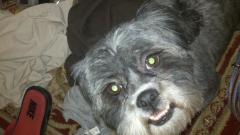 Sharon Clanton Photo 11