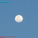 Ventura Luna Photo 11