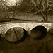 Linda Burnside Photo 7