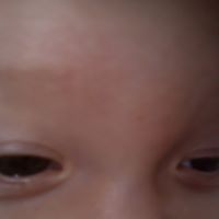 Sandra Linck Photo 9
