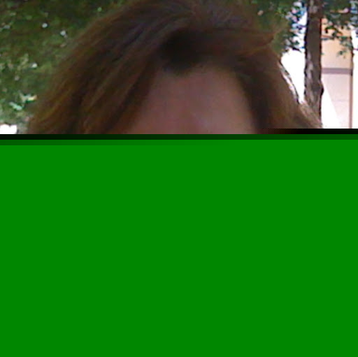 Diane Harvey Photo 2