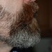 Rob Beard Photo 25