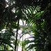 Richard Kew Photo 14