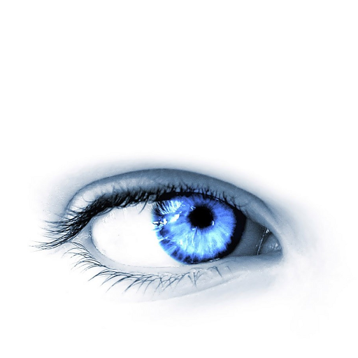 Daniel Murillo Photo 39