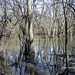 Russell Flood Photo 14