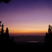 Donna Nace Photo 8