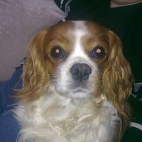 Lisa Rawnsley Photo 1