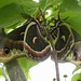 Sandra Moths Photo 1