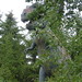 Rex Bush Photo 13