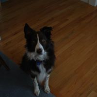 Jacob Dotson Photo 6