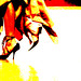 Olin Samples Photo 4