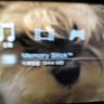 Fanny Chan Photo 32
