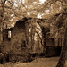 Frances Harden Photo 16