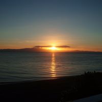 Marion Johnston Photo 7