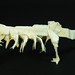 Rex Roberts Photo 14