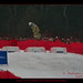 Robert Bilodeau Photo 11