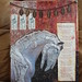 Elizabeth Webster Photo 12