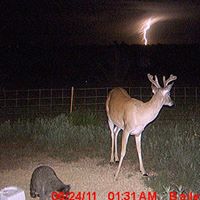 Keith Karcher Photo 8