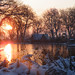 Stephen Early Photo 9