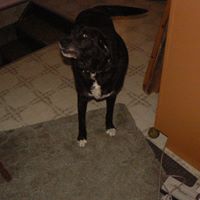 Linda Mager Photo 9