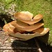 Eileen Burns Photo 18