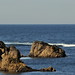 Robert Marin Photo 30