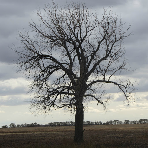 John Burk Photo 44
