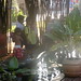Dawn Wiley Photo 25