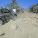 Barbara Gorman Photo 1