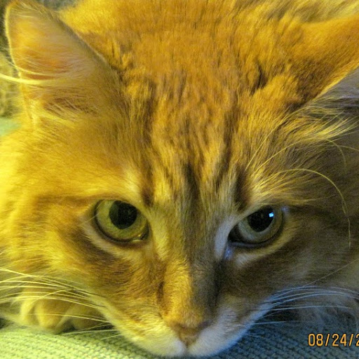 Cathy Sullivan Photo 8