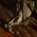 Stephen Huntsman Photo 18