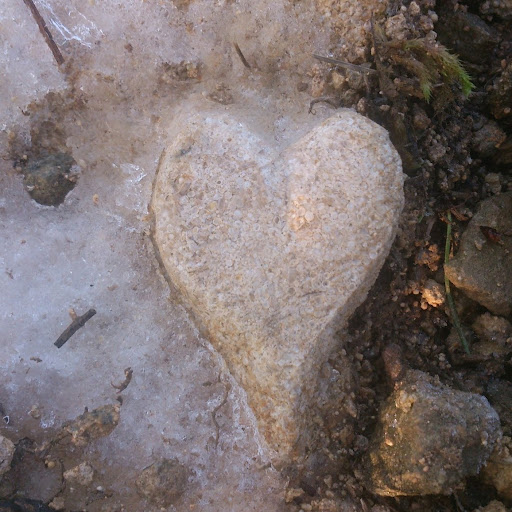 Vicky Miller Photo 28