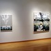 William Wirtz Photo 9